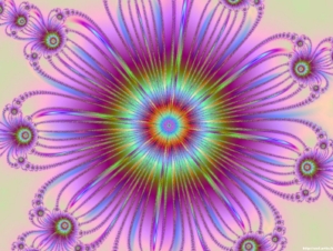 Une fleur