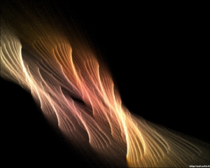 Feu de foret