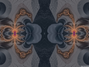 2 araignées